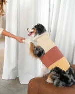 Sweater Poly