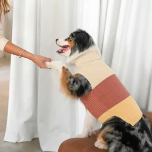 Sweater Poly