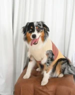 Sweater Poly  — Almendra - Imagen 5