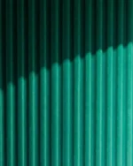 Comedero Lumy - Verde inglés - Imagen 4